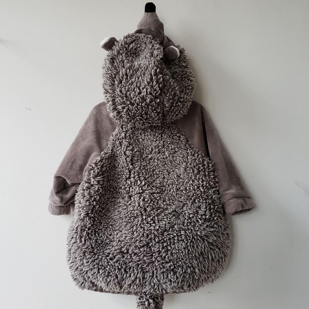Hedgehog baby costume
